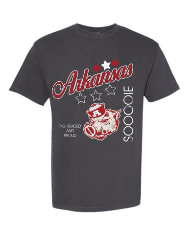 Arkansas Stars